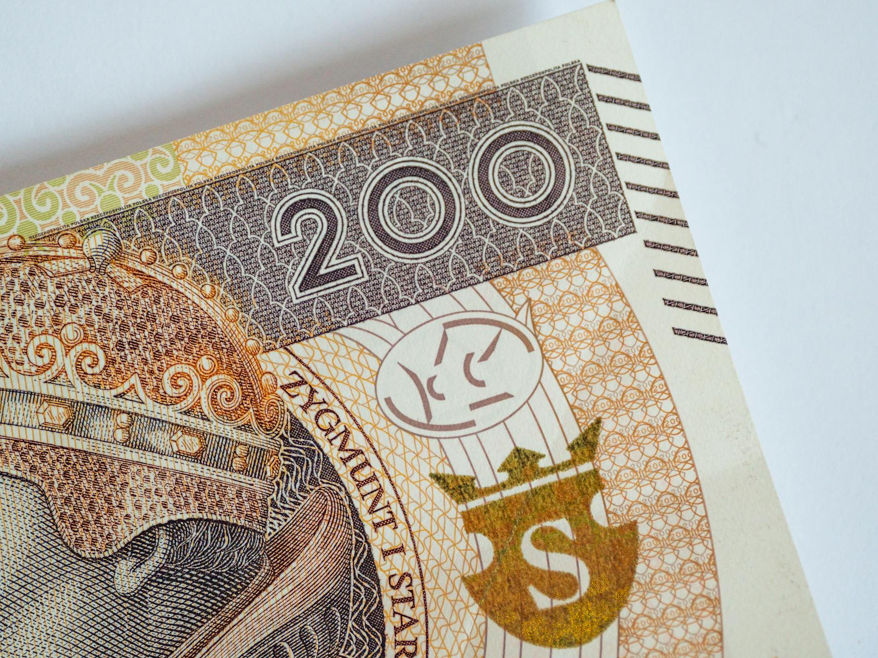 Zielona Góra: Spacery i wymiana roślin/książek – nowe inicjatywy dla mieszkańców